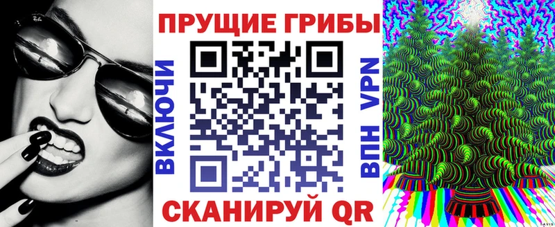 Галлюциногенные грибы GOLDEN TEACHER  это телеграм  Большой Камень  OMG как войти 