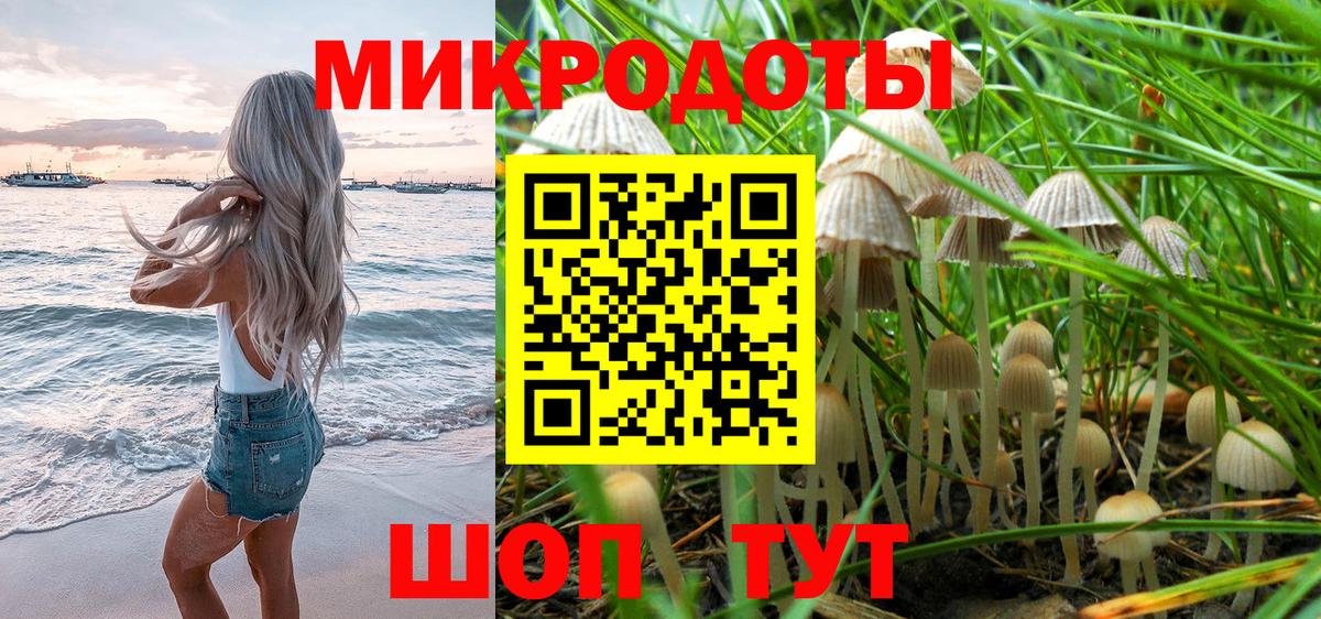 Галлюциногенные грибы Cubensis  Вход с VPN  Псилоцибиновые грибы Magic Shrooms  Большой Камень 