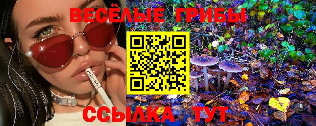 Галлюциногенные грибы прущие грибы Большой Камень